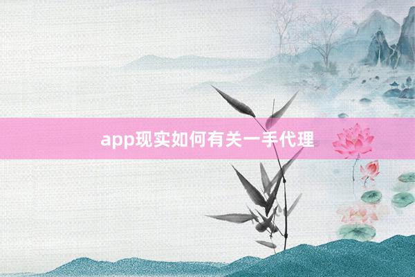 app现实如何有关一手代理
