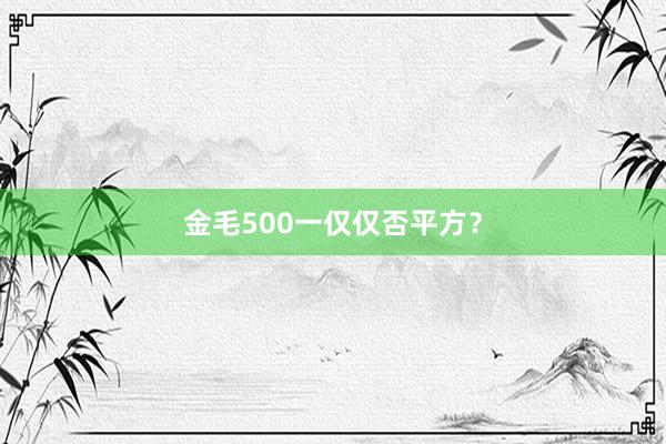 金毛500一仅仅否平方？